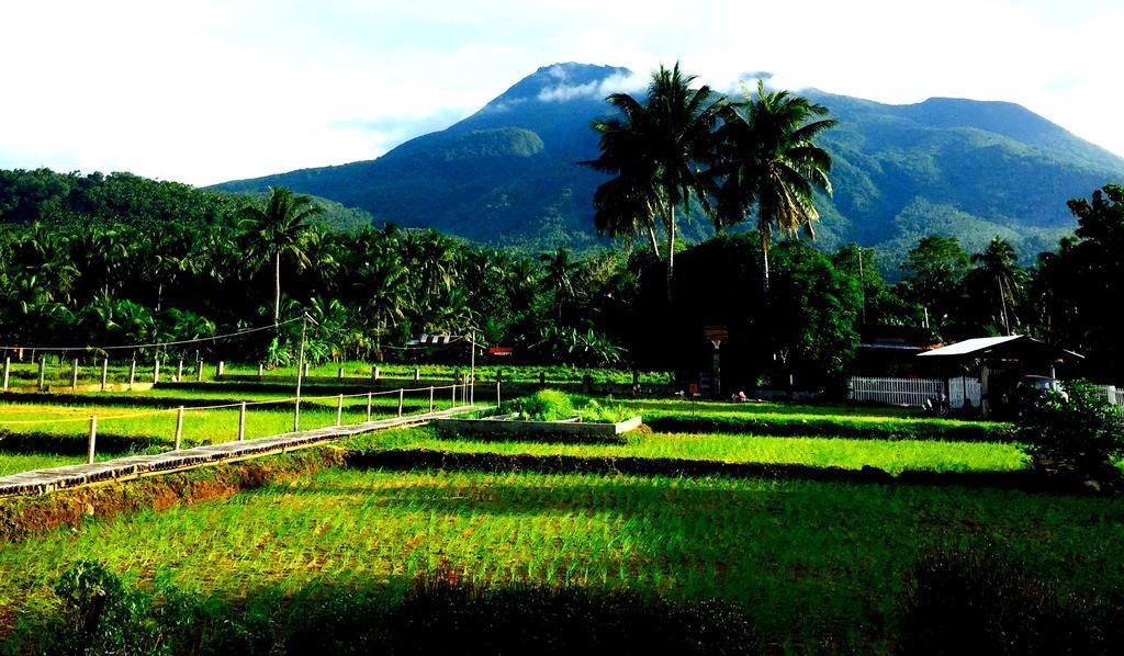 Guerrera Rice Paddy Villas Mambajao Exterior foto